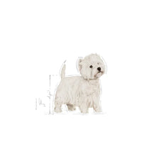 Royal Canin - West Highland White Terrier Adult - 1.5KG
