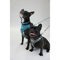 Doodlebone - Adjustable Airmesh Harness, Pastel Paint Splat -