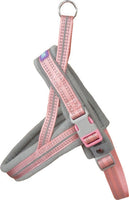 DOG & CO - Reflective & Padded Norwegian Harness - Aqua - Medium