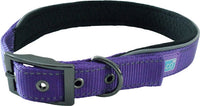 Hem & Boo - Reflective And Padded Collar - Purple - Small