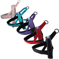Dog & Co - Reflective & Padded Norwegian Harness - Red - Medium