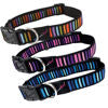 Hem & Boo - Nylon Adjustable Dog Collar - Block Multi (25-35m x 12mm)