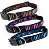 Hem & Boo - Nylon Adjustable Dog Collar - Block Multi (45-60cm x 25mm)