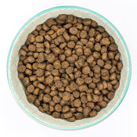 Burns - Chicken & Brown Rice - Kitten Food - 2kg
