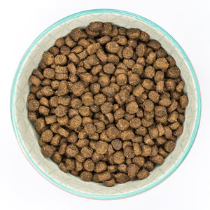 Burns - Chicken & Brown Rice - Kitten Food - 2kg