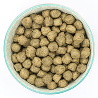 Burns - Adult Sensitive Pork & Potato - 2kg
