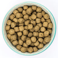 Burns - Adult Original Dog Food - Fish and Brown Rice - 6kg