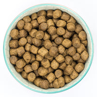 Burns - Puppy Original - Chicken & Rice - 6kg