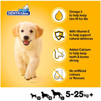 Pedigree - Puppy Denta Tubos - 3 Tube pack