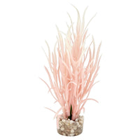 Sydeco - Coloured Plants Sea Grass Baby - 16cm