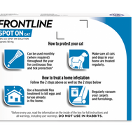 Frontline - Spot On Cat - 1 Pipette
