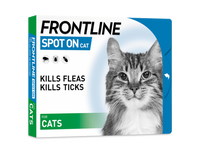 Frontline - Spot On Cat - 1 Pipette