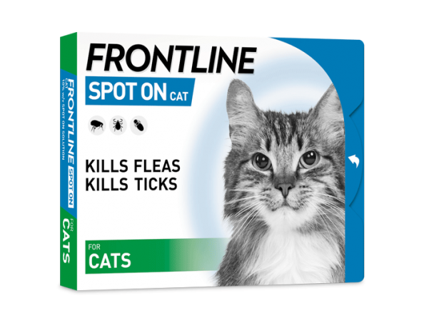 Frontline - Spot On Cat - 1 Pipette
