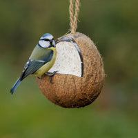 Suet To Go - Whole Coconut Feeder - Mealworm