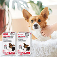 Beaphar - Fiprotec Combo Small Dog - 3 Treatments