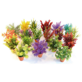 Sydeco Decor - Aqua plant Small In Pot - Assorted - 15cm