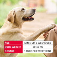 Beaphar - Fiprotec Spot On Solution - Large Dogs (20-40kg) - 1 Treatment

