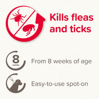 Beaphar - Fiprotec Spot On Solution - Large Dogs (20-40kg) - 1 Treatment
