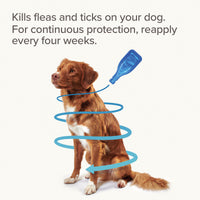 Beaphar - Fiprotec Spot On Solution - Large Dogs (20-40kg) - 1 Treatment
