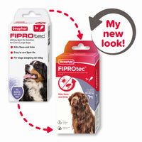 Beaphar - Fiprotec Dog Spot on - XL (40kg+) Dog - 1 Pipette