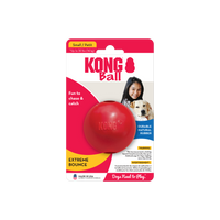 Kong - Ball - Small