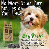 Dog Rocks - Lawn Burn Supplement - 200g