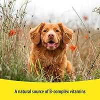 Vetzyme - Conditioning Suppliment for Dogs - 100 Tablets
