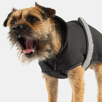 Danish Design - 2 In 1 Dog Coat - Purple - 25cm (10")