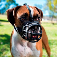 Baskerville - Ultra Muzzle - Size 4