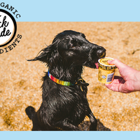 Doggy Doggy Yum Yum - Organic, Vegan Iced Treat for Dogs - Peanut Butter & Banana - 120ml -