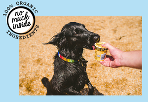 Doggy Doggy Yum Yum - Organic, Vegan Iced Treat for Dogs - Peanut Butter & Banana - 120ml -
