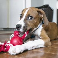 Kong - Ball With rope - Small
