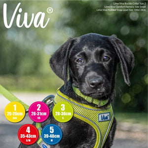 Ancol - Viva Poly Weave Buckle Dog Collar - Lime (Hi vis) - 35-43cm (Size 4)