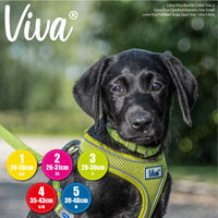 Ancol - Viva Poly Weave Buckle Dog Collar - Black - 39-48cm (Size 5)
