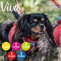 Ancol - Viva Poly Weave Buckle Dog Collar - Black - 39-48cm (Size 5)