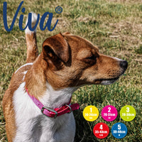 Ancol - Viva Poly Weave Buckle Dog Collar - Black - 39-48cm (Size 5)
