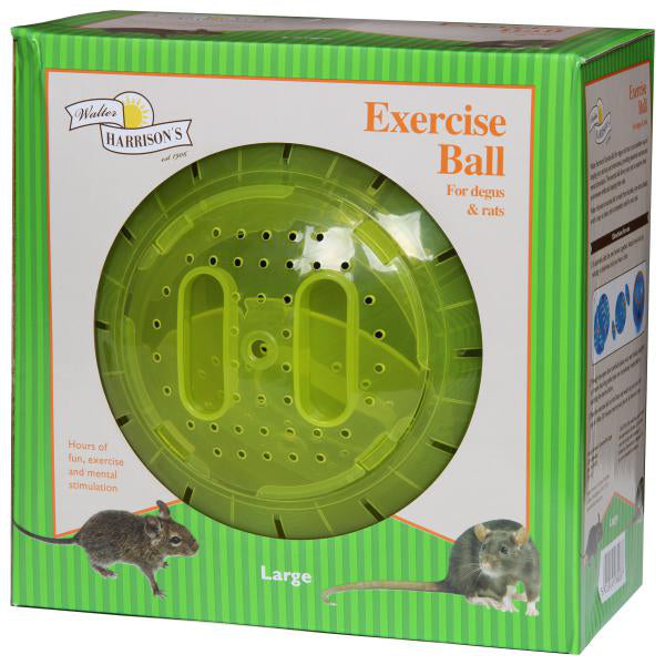 Walter Harrison's - Exercise Ball - Large