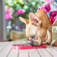 Innovative Pet Products - Lickimat Slomo - Dog and Cat slow feeder