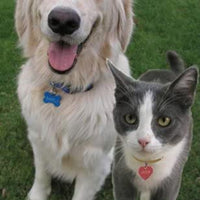 Custom Engraved Pet Tag - Large Disc
