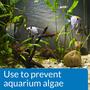 API - Prevent Algae Liquid - 237ml