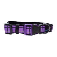 Dog & Co - Country Check Collar - Purple - Large