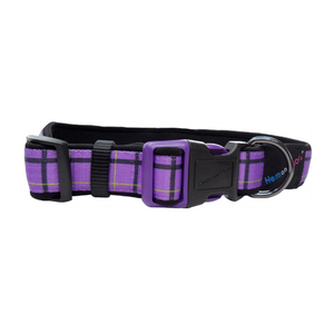 Dog & Co - Country Check Collar - Purple - Large