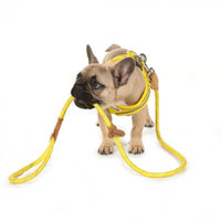 Doodlebone - Originals Rope Lead - Aqua - 12mm
