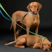 Oscar & Hooch - Dog Lead - Apple Green - Small