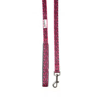 Doodlebone - Originals Pattern Lead - Bright Leopard - 20mm
