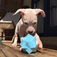 Pet Brands - Monster Treat Release Dog Toy - Blue