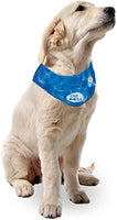 All For Paws - Chill Out Ice Bandana - XLarge