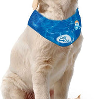 All For Paws - Chill Out Ice Bandana - Large