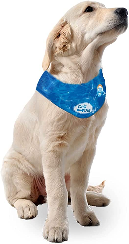 Afp chill 2025 out bandana