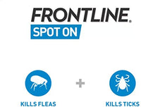 Frontline - Spot On Dog - 10 to 20kg - 1 Pipette
